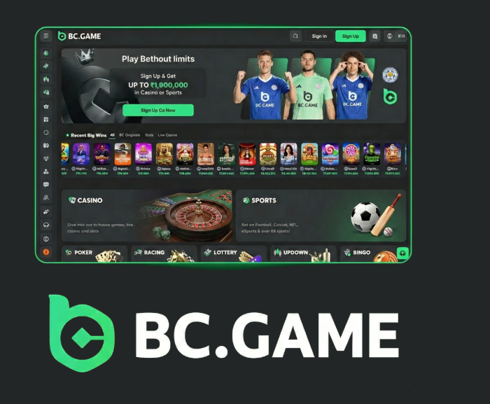 Understanding the BC.Game Login Process A Comprehensive Guide -444340401