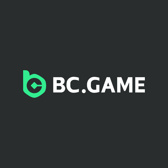 Understanding the BC.Game Login Process A Comprehensive Guide -444340401